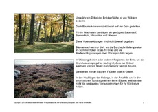 Bäume-Lesetext-2.pdf
